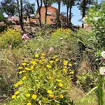 Appartamento Les Hirondelles Avec Piscine Chauffée Prades (Pyrenees-Orientales)