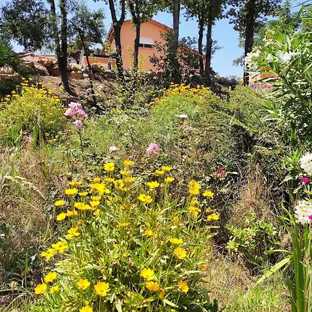 Apartman Les Hirondelles Avec Piscine Chauffee Prades